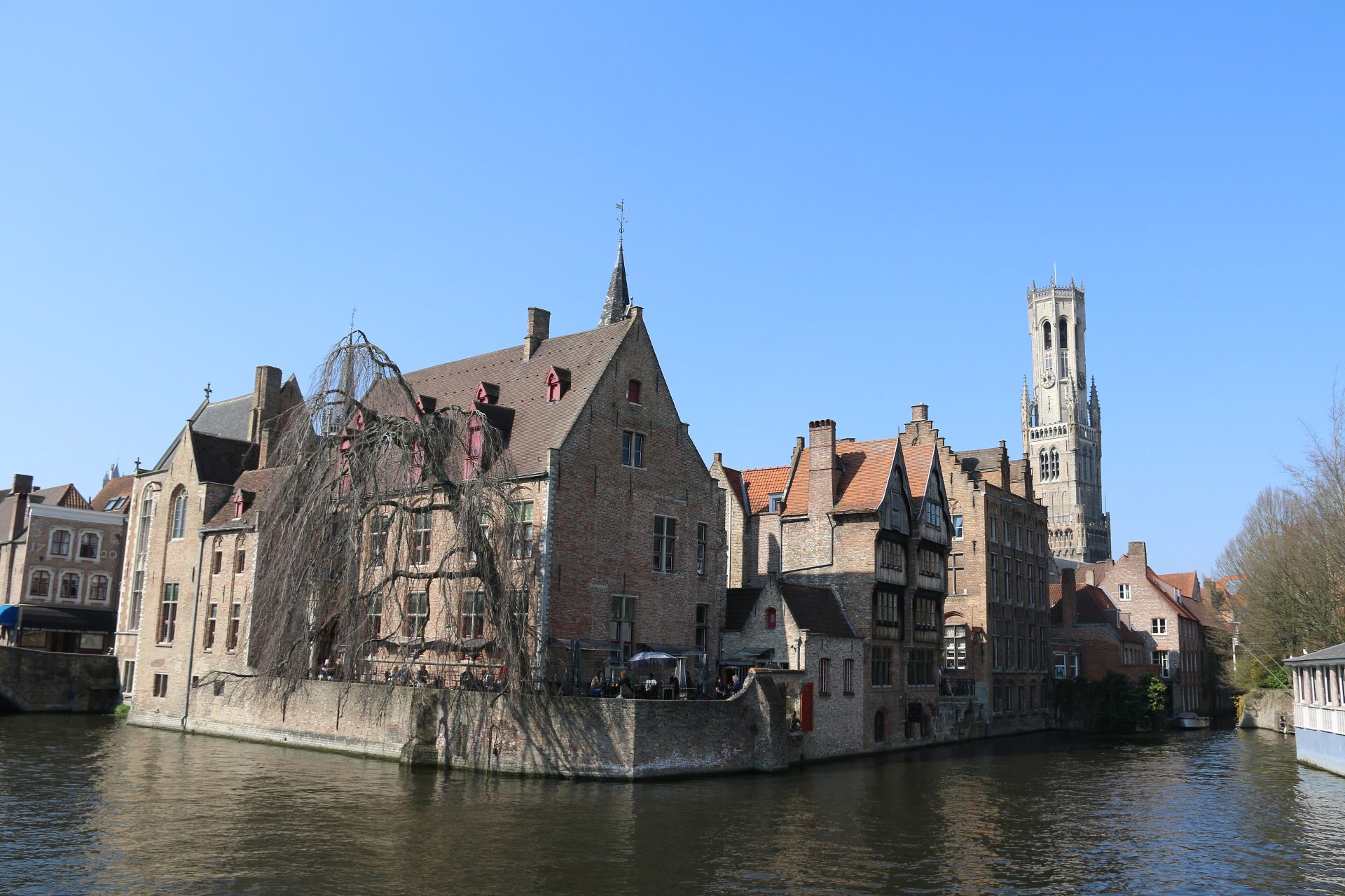 Le Rozenhoedkaai à Bruges : des maisons en brique à pignons à gradins au bord de l’eau et un saule pleureur à l’angle, avec le beffroi derrière elles sous un ciel bleu