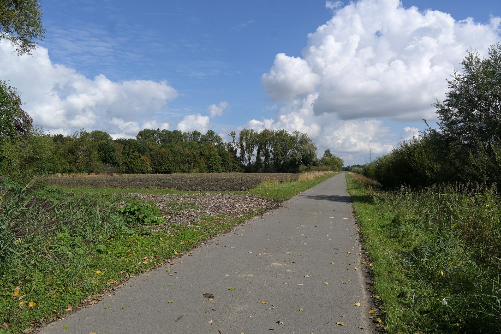Chemin de halage le long de l’Escaut près de la Coupure Deweer à Avelgem, entre champs et arbres sous un ciel nuageux