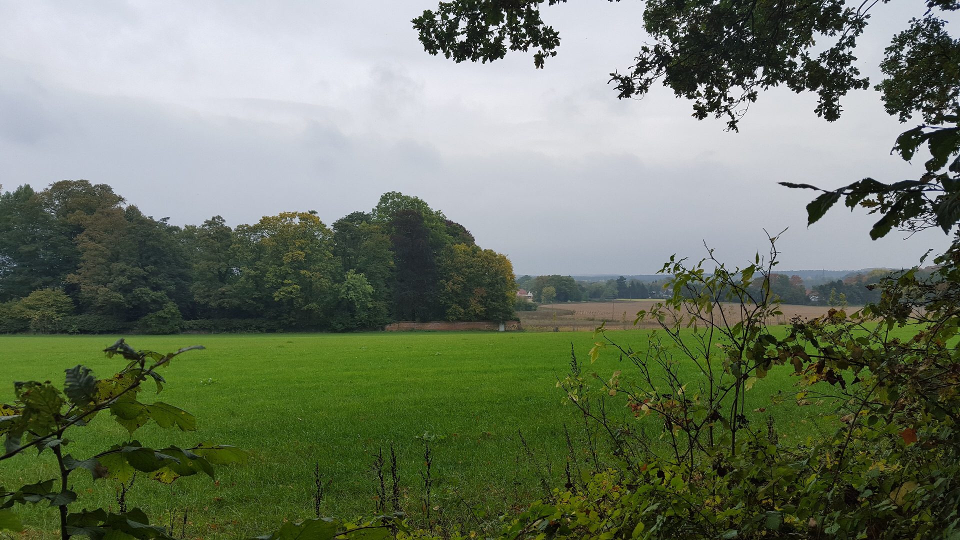View from the Sint-Jansberg in Zelem: a green meadow between trees, with woods and low hills in the distance